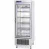 Armario Expositor Refrigeracion y Congelacion INFRICO Serie Nacional